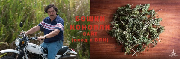 хмурый Богородск