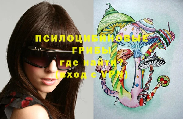 хмурый Богородск