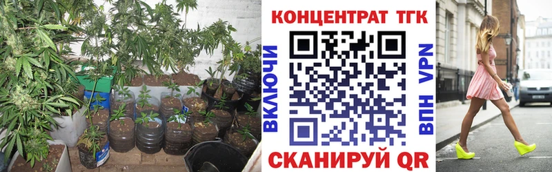 ТГК Wax  Катайск 