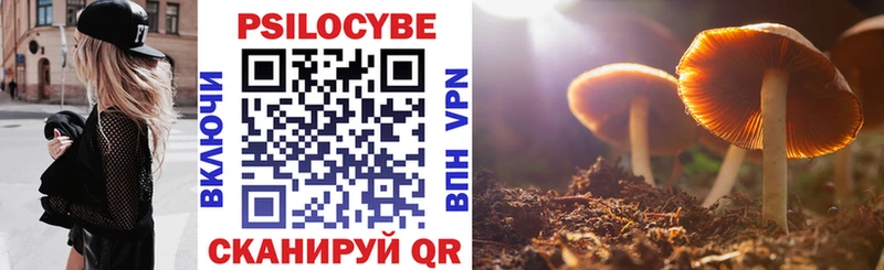 Галлюциногенные грибы GOLDEN TEACHER  что такое наркотик  Катайск 